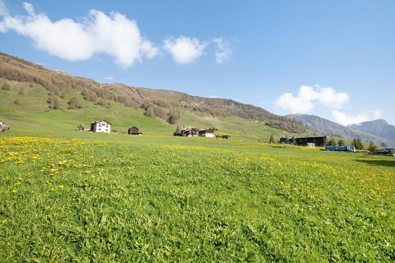 Baita Truzz Appartamento Valle Livigno Zewnętrze zdjęcie